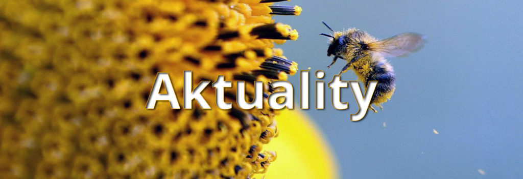 Aktuality